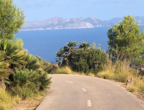 5 Reasons to book a cycling holiday in Mallorca